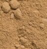 amchur ground powder