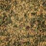 garlic spice blend upclose