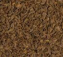 dill seed organic close up