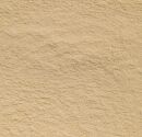 organic garlic powder whole sand