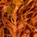 whole mace dried organic