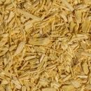 quassia bark to make tonics bitters