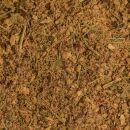 close up crab spice