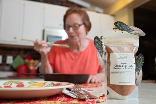 spice for cooking eating cicadas