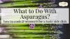 what to do with asparagus