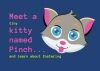 pinch kitty and what its like to foster