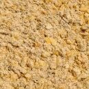 close up onion soup mix