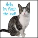 pinch supports animal rescue