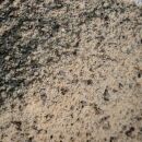 Bratwurst Spice Mix | Organic - Image 2
